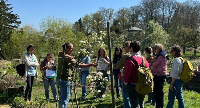 Image : Activité santé en pleine nature !